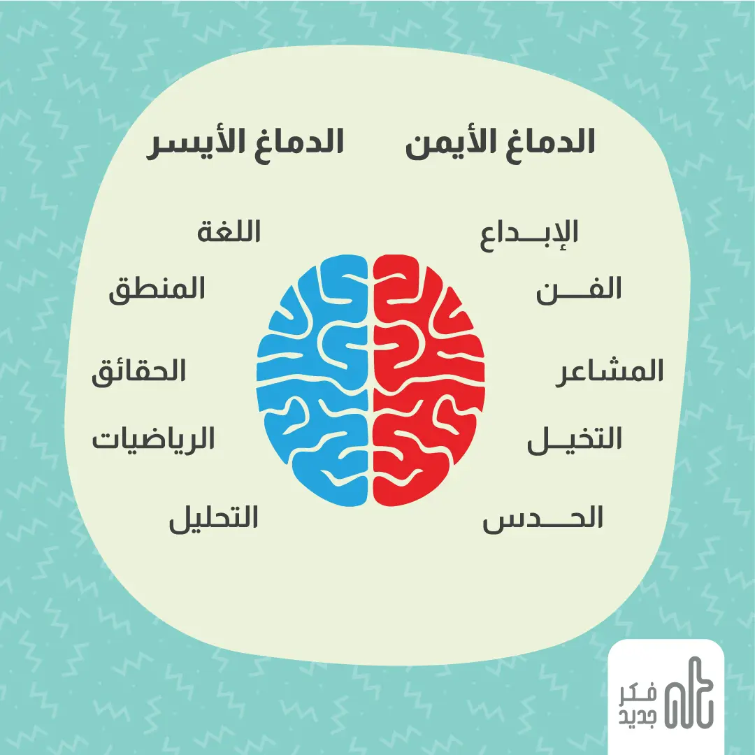 الدماغ